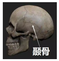 發(fā)生車(chē)禍如何快速理賠？