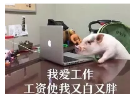 發(fā)生車(chē)禍如何快速理賠？